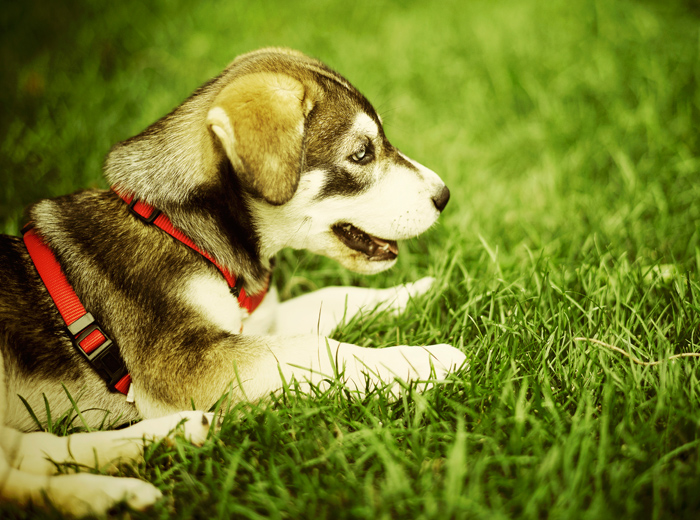 游戏账号购买的DDOS攻击